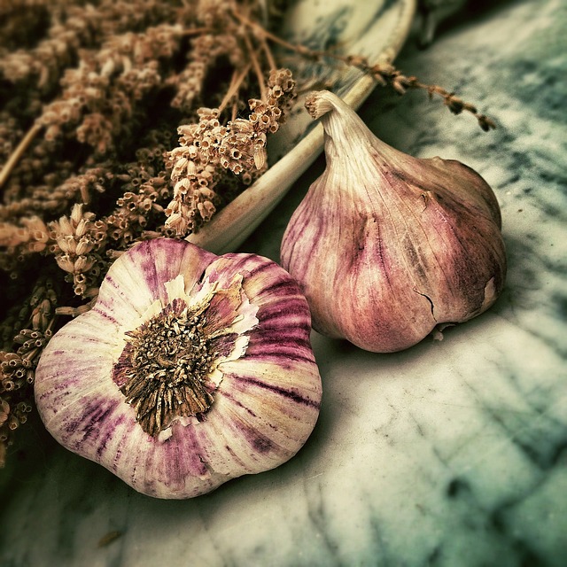 The History of Pasta: From Ancient China to Italian Staple